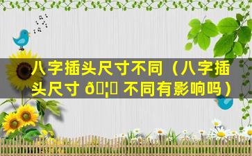 八字插头尺寸不同（八字插头尺寸 🦟 不同有影响吗）